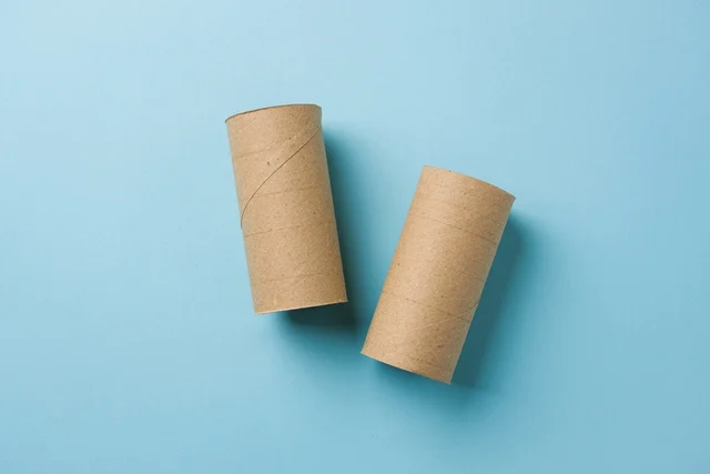 Si vous avez des rouleaux de papier toilette vides, ne les jetez pas : vous avez un trésor à la maison